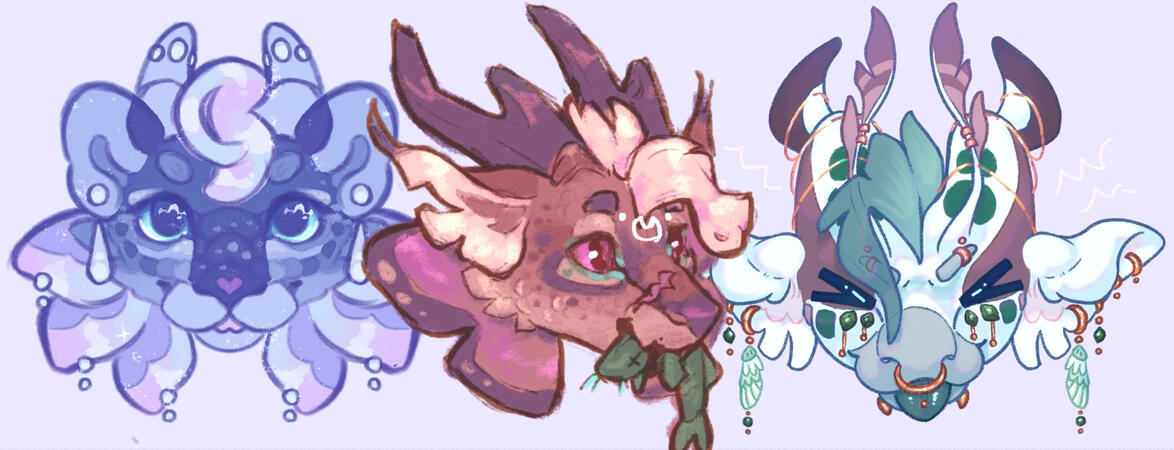 Headshot 15-20 usd